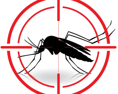 depositphotos_97504716-stock-illustration-nature-silhouette-mosquitoes-with-stilt-modified